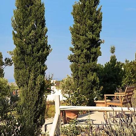 Christou Estate & Villas Pyrgos Kallistis ภายนอก รูปภาพ