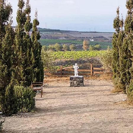 Christou Estate & Villas Pyrgos Kallistis ภายนอก รูปภาพ
